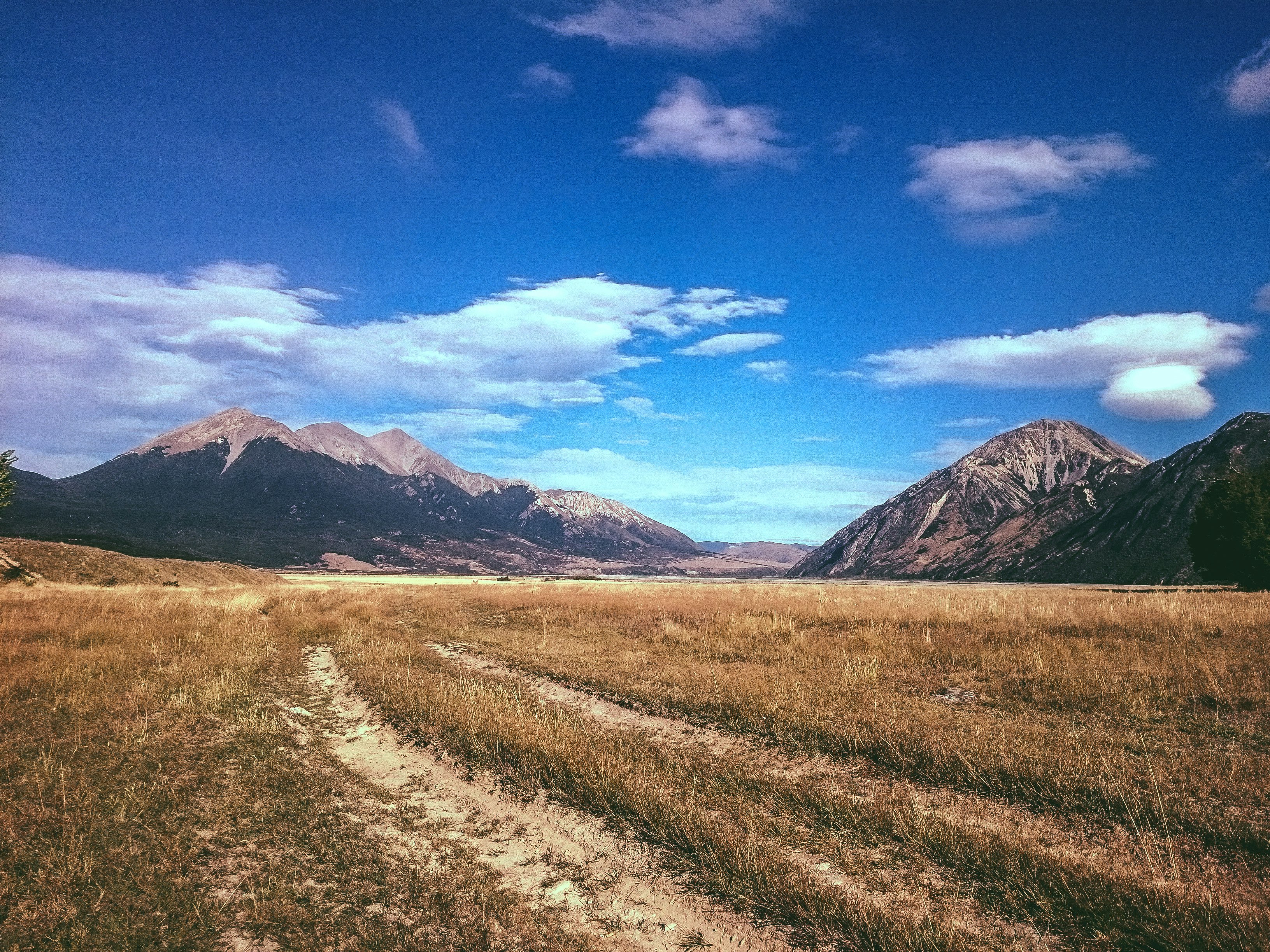 brown grass field during daytime